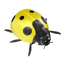 Ladybug